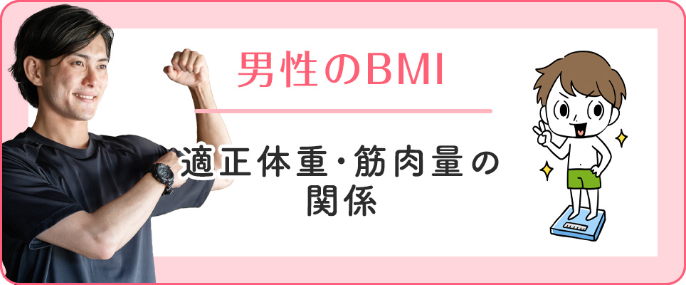 男性のBMIと筋肉量・適正体重とは