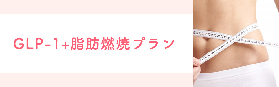 GLP-1+脂肪燃焼プラン