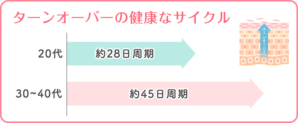 年代ごとの健康な肌のターンオーバー周期の図解