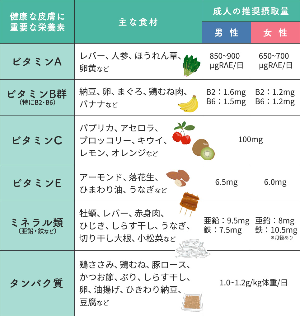 毛嚢炎の予防に重要な栄養素と男女別摂取量の目安一覧表