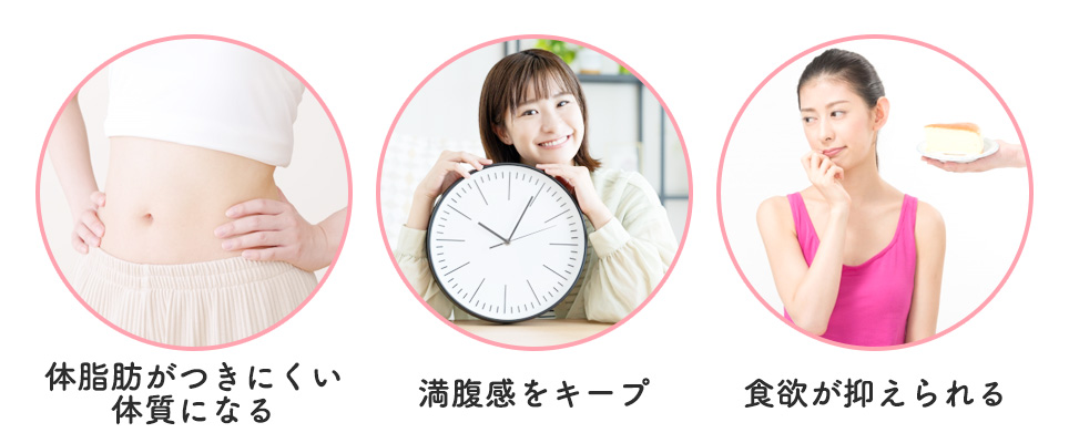 GLP-1ダイエットの特徴一覧