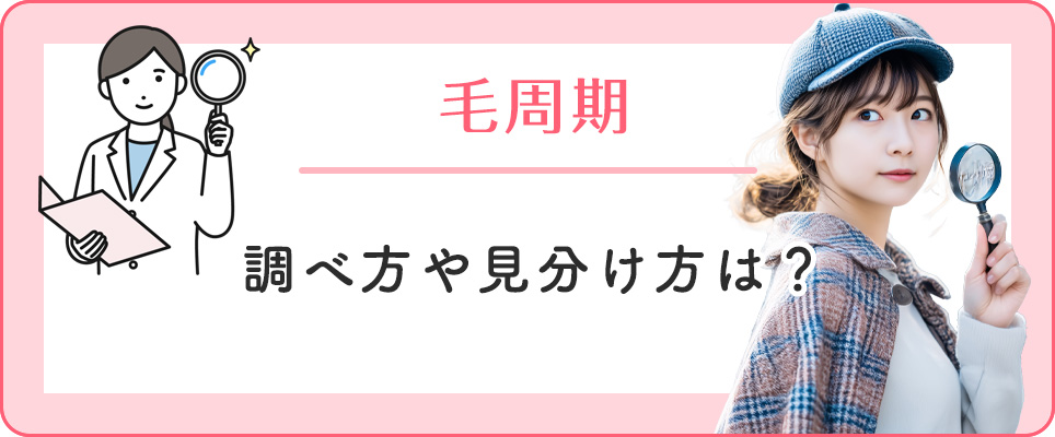 毛周期の調べ方・見分け方