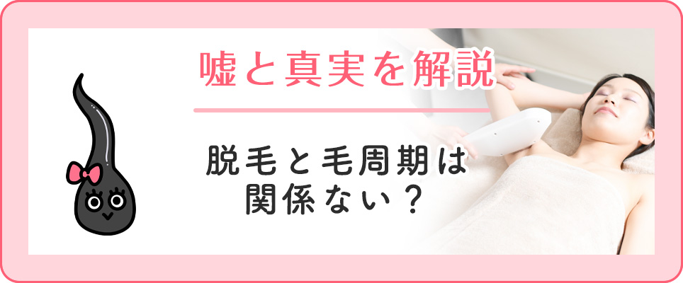 毛周期と脱毛の嘘と真実を解説