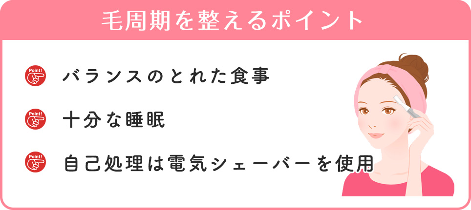 毛周期を整えるポイントまとめ