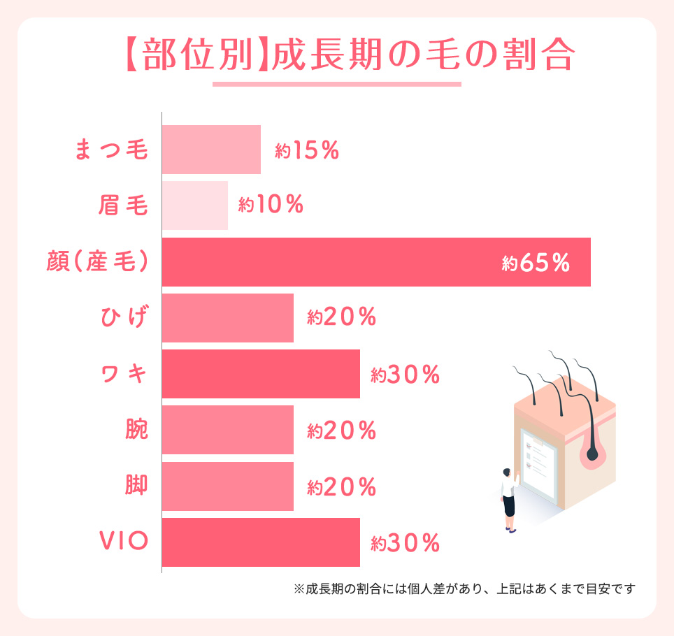 【部位別】成長期の毛の割合一覧