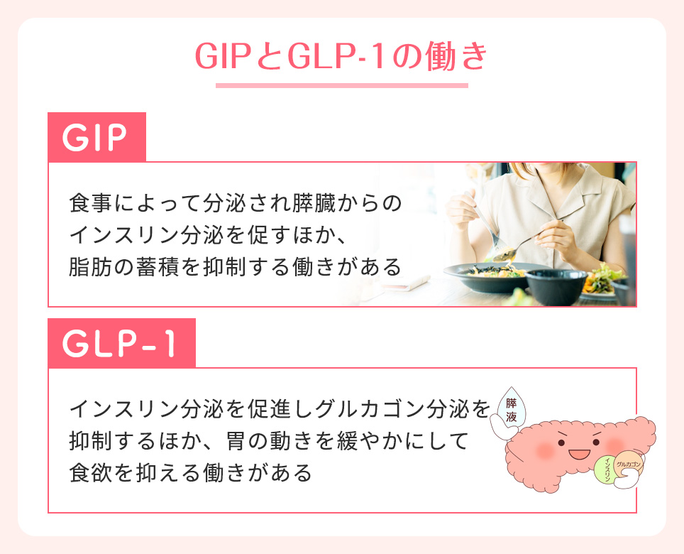 GIPとGLP-1の働きまとめ