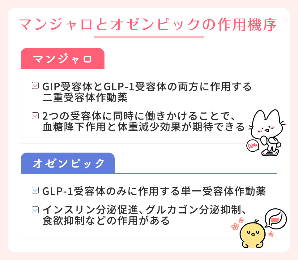 マンジャロとオゼンピックのそれぞれの作用機序まとめ
