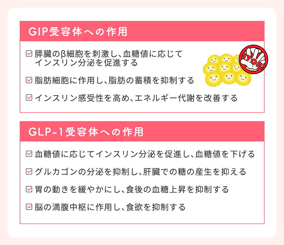 マンジャロの作用機序とGIP/GLP-1の二重作用まとめ