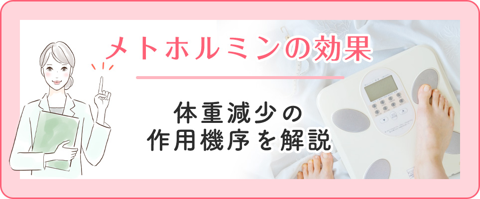 メトホルミンの効果と減量の作用機序