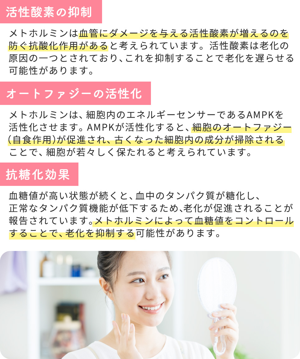 メトホルミンのエイジングケア効果が期待される理由まとめ