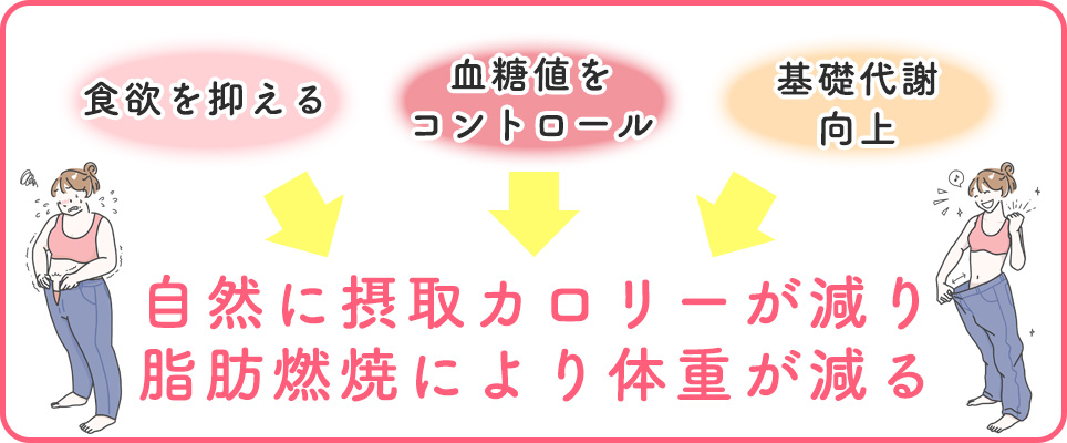 オゼンピックの痩せる効果まとめ