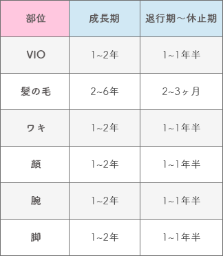 体の部位ごとの毛周期